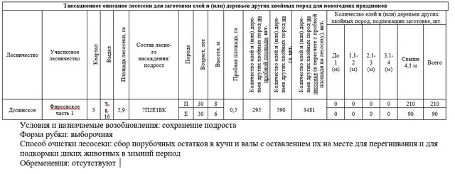 Право заключения договора купли-продажи лесных насаждений для заготовки елей и (или) деревьев других хвойных пород для новогодних праздников в границах земель лесного фонда Долинского лесничества