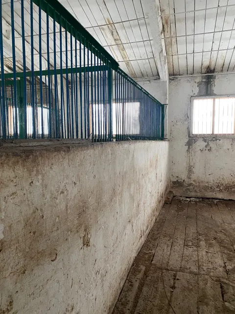 нежилое помещения 1П общей площадью 224,6 кв.м., назначение: нежилое, кадастровый номер 55:36:000000:77236, адрес: г.Омск, ул. Суворова, д. 136Б, пом. 1П, РНФИ П13560002244