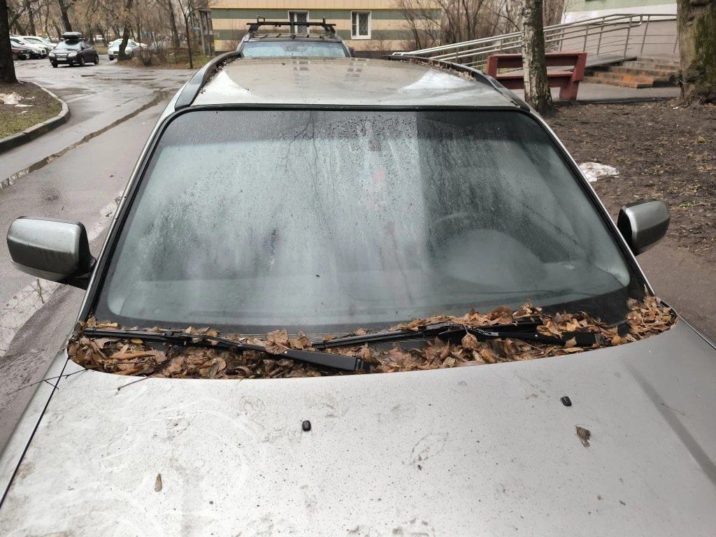 SUBARU FORESTER, 2006, VIN: JF1SG5LW47G113346