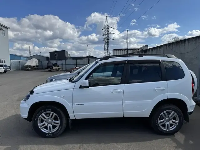 CHEVROLET NIVA 212300-55, БЕЛЫЙ, VIN: X9L212300J0646223, гос. номер: У 698 НТ 124, 2017 г.в.