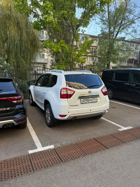 NISSAN TERRANO, белый, VIN Z8NHSNHGD68159627, г/н О098РМ124, 2021 г.в.