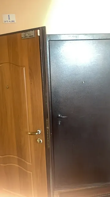 Помещение, назначение: жилое (квартира), кадастровый номер 42:24:0201006:9180